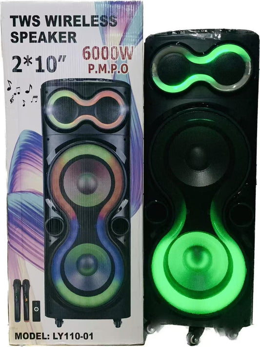 TWS Wireless Speaker